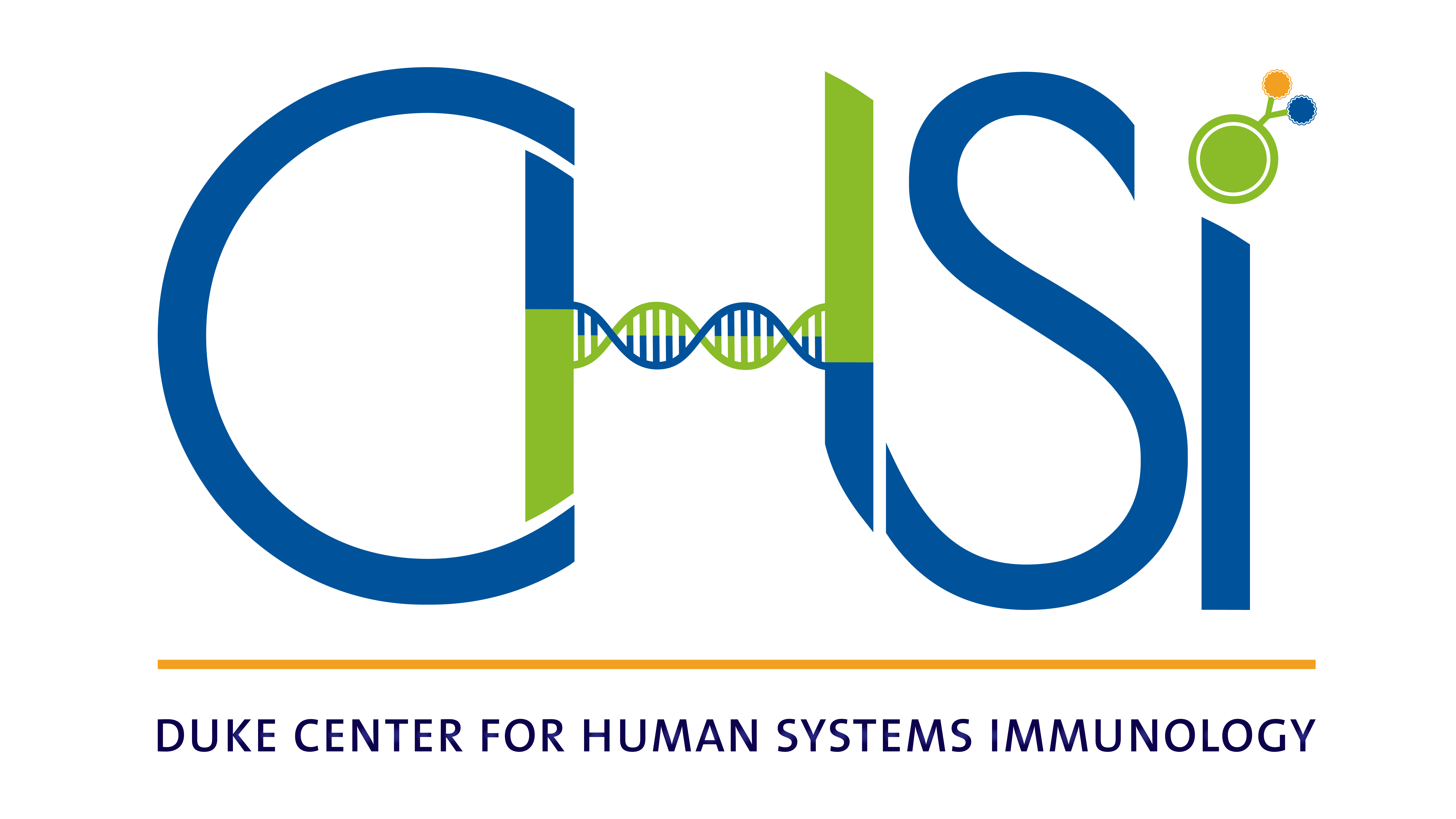 CHSI logo